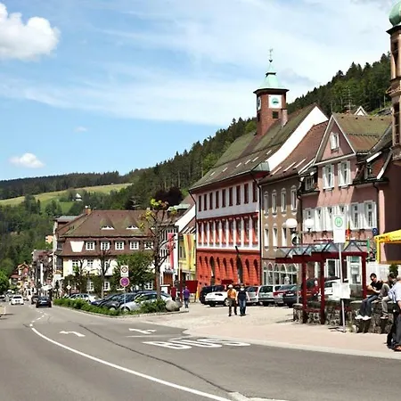 H-Apartment 1 Triberg im Schwarzwald Extérieur photo